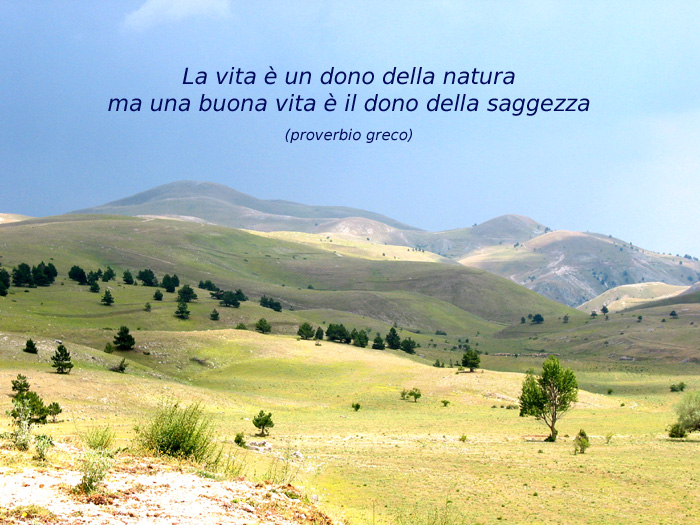 Prego, accomodatevi!
